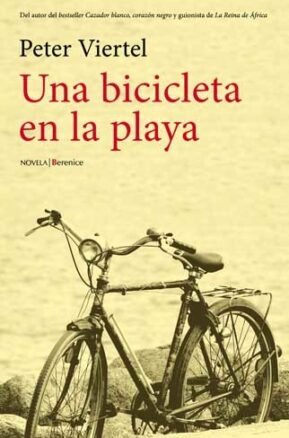 Resumen de Una Bicicleta en la Playa