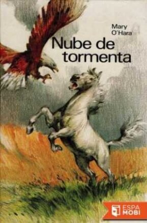 Resumen de Nube de Tormenta