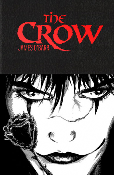 Resumen de The Crow