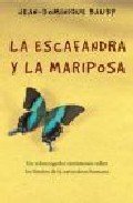 Resumen de La Escafandra y la Mariposa