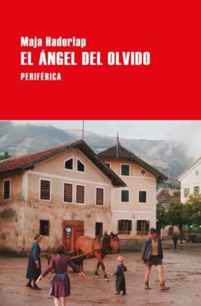 Resumen de El Ángel del Olvido