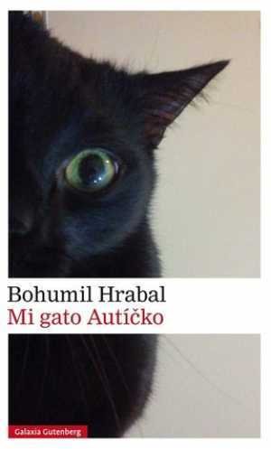 Resumen de Mi Gato Autícko