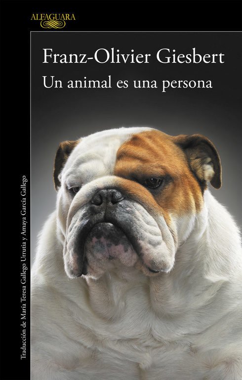 Resumen de Un Animal es una Persona: Para los Animales, Hermanos Nuestros