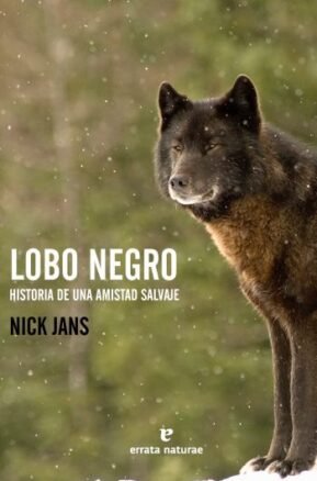 Resumen de Lobo Negro. Historia de una Amistad Salvaje