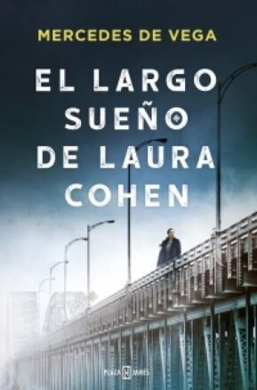 Resumen de El Largo Sueño de Laura Cohen