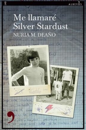 Resumen de Me Llamaré Silver Stardust