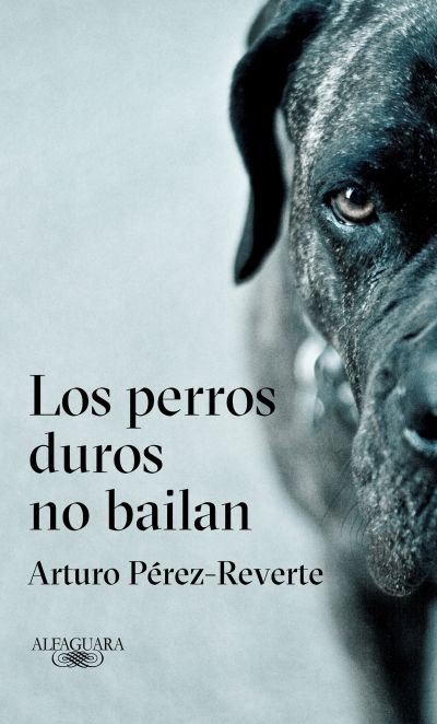 Resumen de Los Perros Duros No Bailan