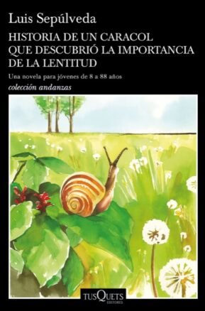 Resumen de Historia de un Caracol Que Descubrió la Importancia de la Lentitud