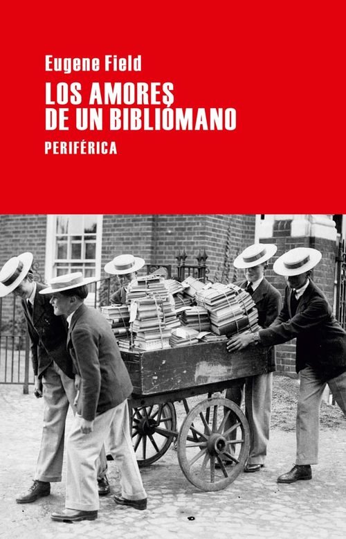 Resumen de Los Amores de un Bibliómano