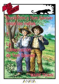 Resumen de Huck Finn y Tom Sawyer Entre los Indios. La Conspiración de Tom Sawyer