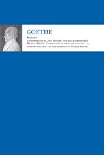 Resumen de Goethe-Narrativa