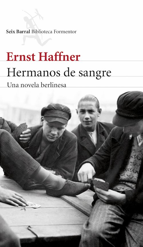 Resumen de Hermanos de Sangre. Una Novela Berlinesa