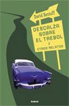 Resumen de Descalza Sobre el Trebol y Otros Relatos