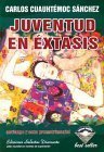 Resumen de Juventud en Éxtasis