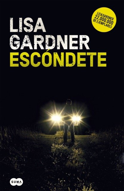 Resumen de Escondete (Detective Warren 1)