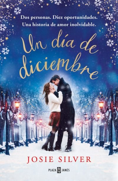 Resumen de Un Día de Diciembre