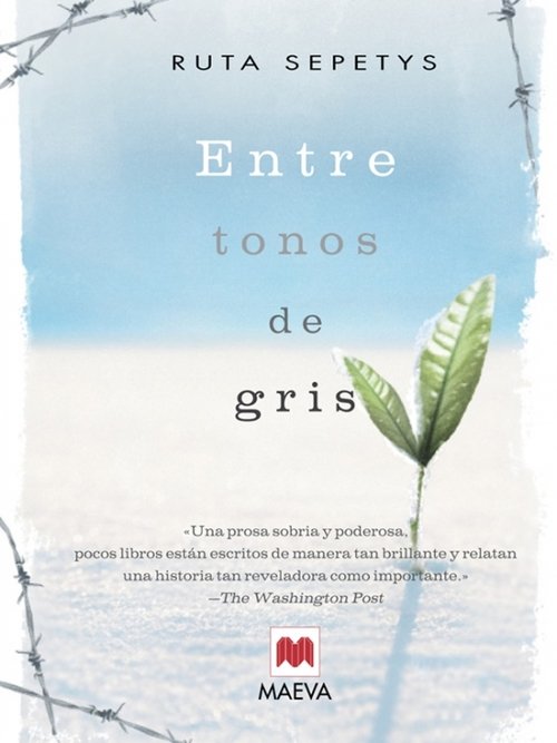Resumen de Entre Tonos de Gris
