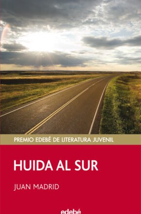 Resumen de Huida Al Sur