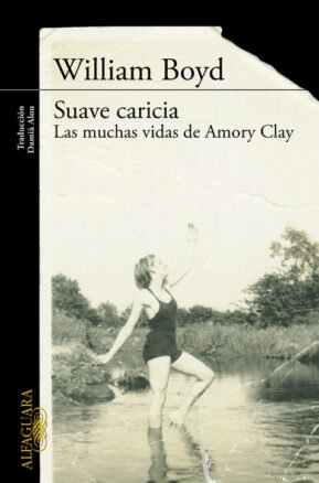 Resumen de Suave Caricia. Las Muchas Vidas de Amory Clay