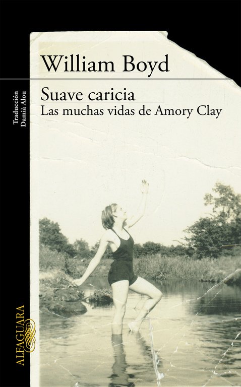 Resumen de Suave Caricia. Las Muchas Vidas de Amory Clay