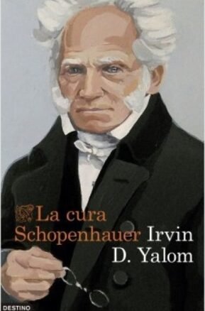 Resumen de La Cura Schopenhauer