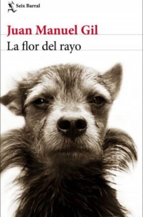 Resumen de La Flor del Rayo