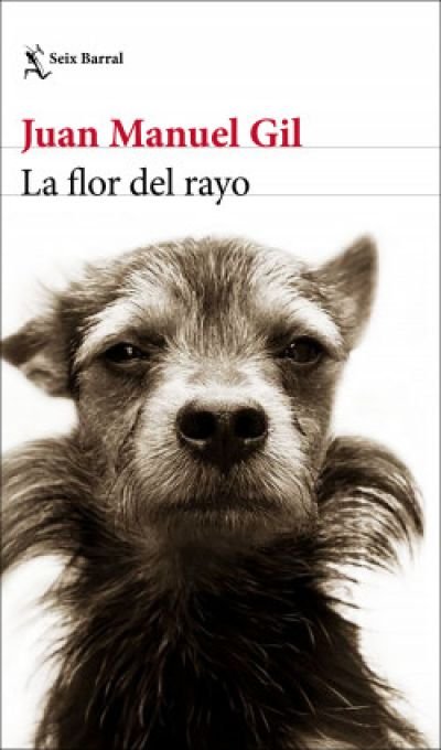 Resumen de La Flor del Rayo