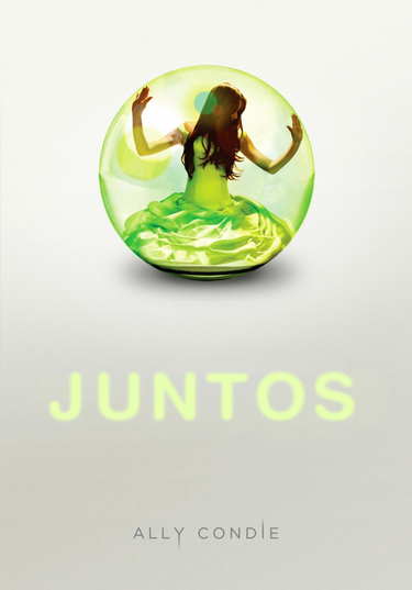 Resumen de Juntos (Libro 1)