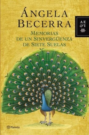 Resumen de Memorias de un Sinvergüenza de Siete Suelas