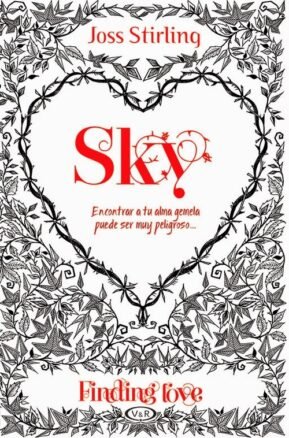 Resumen de Finding Love 1: Sky