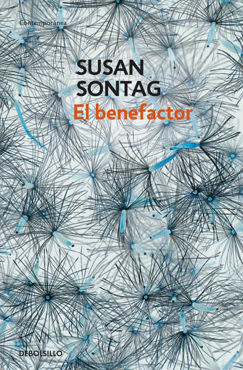 Resumen de El Benefactor