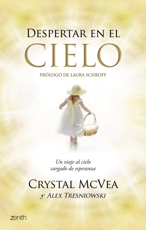 Resumen de Despertar en el Cielo. Un Viaje Al Cielo Cargado de Esperanza