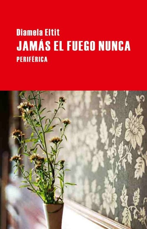 Resumen de Jamás el Fuego Nunca