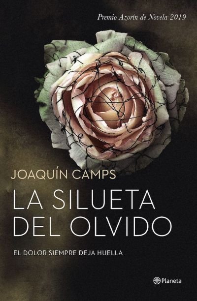 Resumen de La Silueta del Olvido